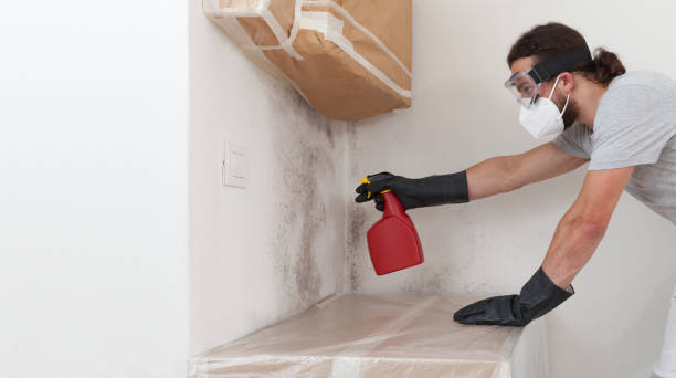 Professional Crawl Space Mold Remediation technician working in Ashland, NJ