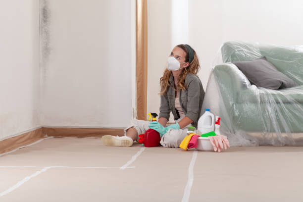 Reliable Crawl Space Mold Remediation contractor in Ashland, NJ by 24 Hour Mold Removal